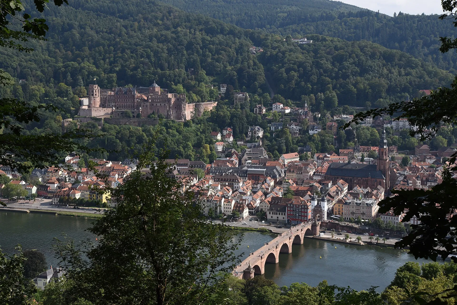Blick über die Heidelberger Altstadt mit Schloss und Alter Brücke am Neckar